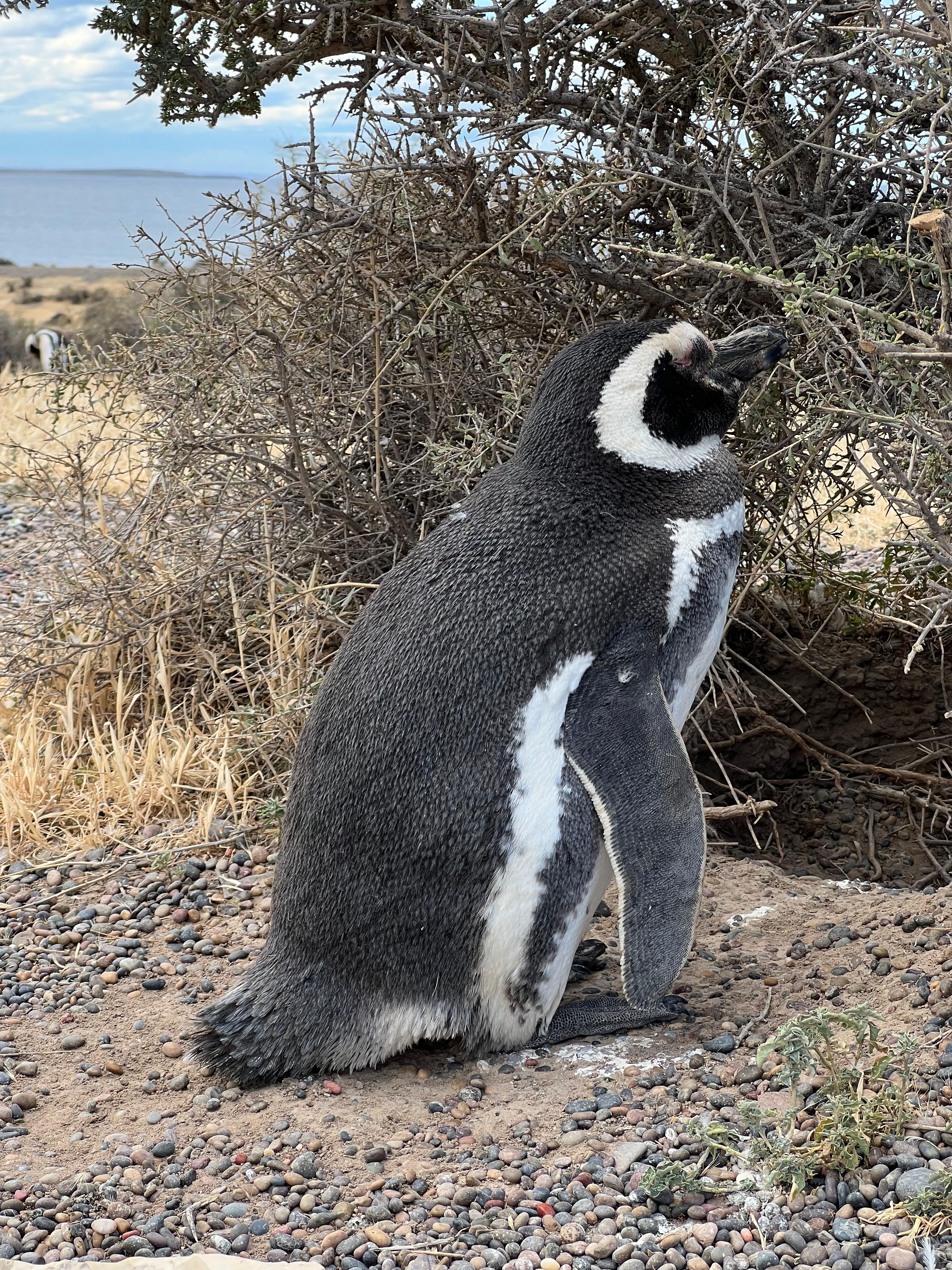 Excursiones Terrestres